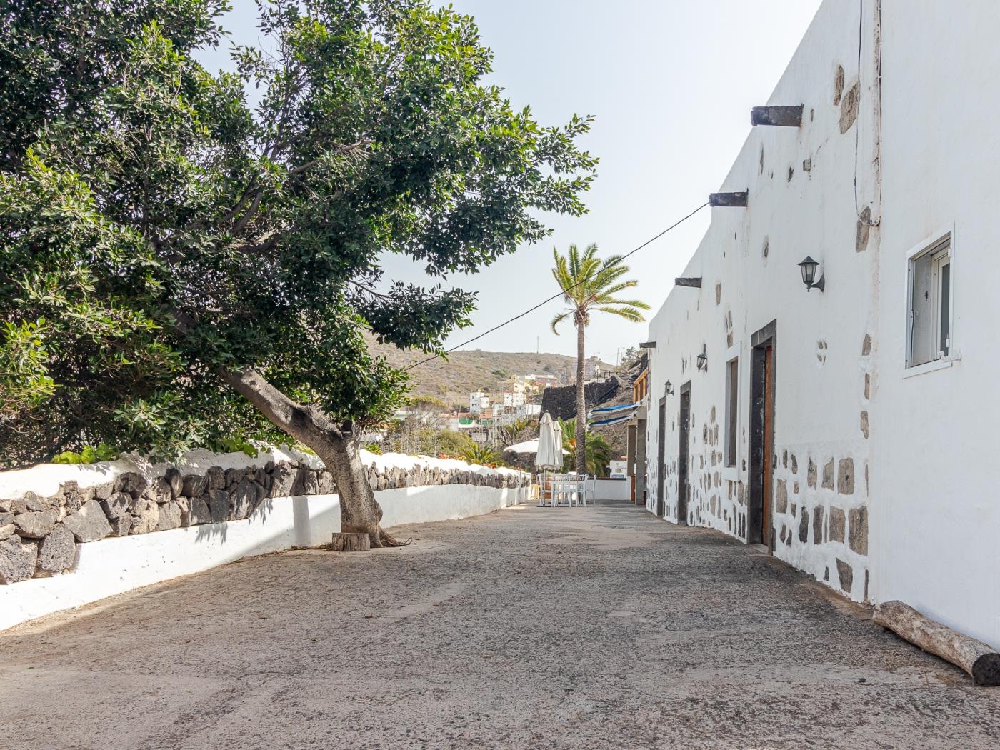 Charming Canarian House | Pool and Jacuzzi | Up to 9 People in Las Palmas de Gran Canaria